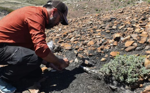 Descubrieron en Neuquén huellas prehistóricas de aproximadamente 100 millones de años