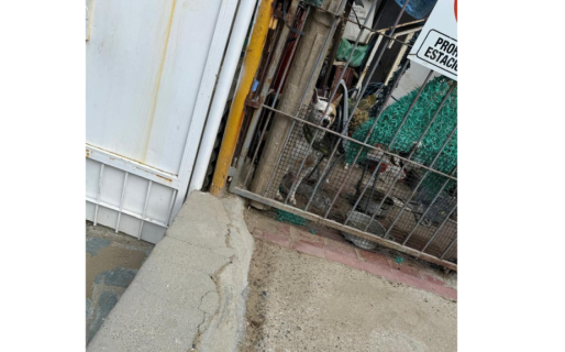 Denuncian un caso de maltrato animal en el centro de Comodoro