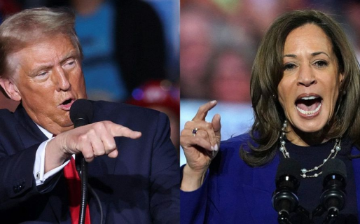 Trump lidera el conteo parcial, pero Harris dio la sorpresa en algunos estados