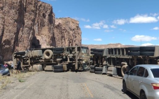 Volcó un camión cargado de vacas en la Ruta 25