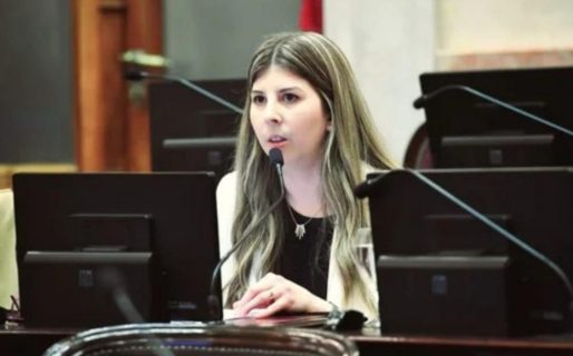 «Si el senador Kueider es expulsado, asumiría una senadora de La Cámpora y perjudica las mayorías»
