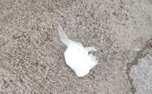 Lo atraparon con 27 gramos de cocaína