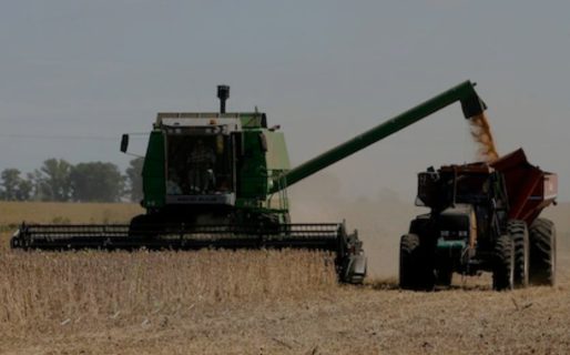 En noviembre, la entrada de dólares del campo creció casi 100% respecto a mismo mes del año anterior