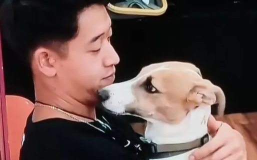 Operaron a Arturo, el perro de “Gran Hermano 2023” y filtraron imágenes que impresionaron a los usuarios