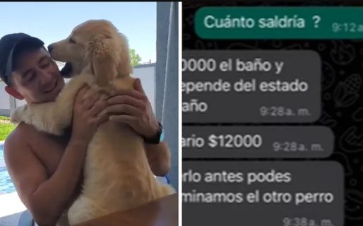 Le pidieron más de $50.000 para bañar a su perro y tomó una inesperada decisión