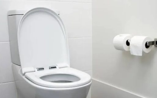 El insólito proyecto de una diputada: declarar el inodoro como «un lugar de paz»