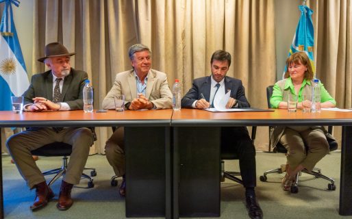 Othar: “Todos debemos ser cuidadores de este proceso de licitación”
