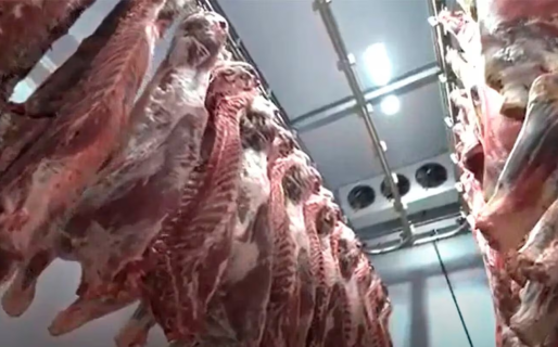 La carne argentina suma un nuevo destino: se abrió el mercado de Albania