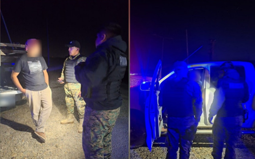 Decomisaron carne de guanaco en un control policial