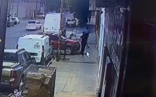 «De este color no tengo»: vieron un gato en la calle y se lo llevaron, pero tenía dueños