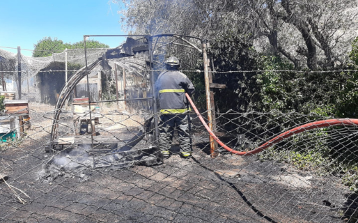 Se incendió un panal de abejas en km 3 y sospechan que fue intencional