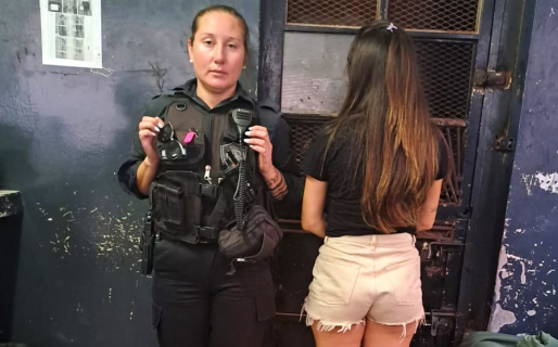 Dejó a su perro encerrado en el auto, el animal murió y ella terminó detenida