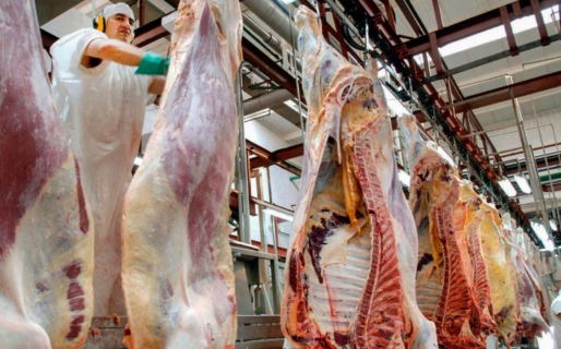 Las exportaciones de carne vacuna consolidaron su repunte respecto al año pasado, aunque cayeron el último mes