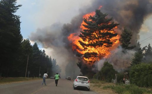 “Esto es un desastre”: el dramático relato del intendente de Epuyén por los incendios forestales