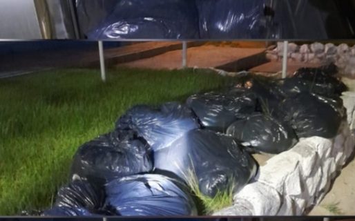 Secuestraron carne de guanaco y bovina