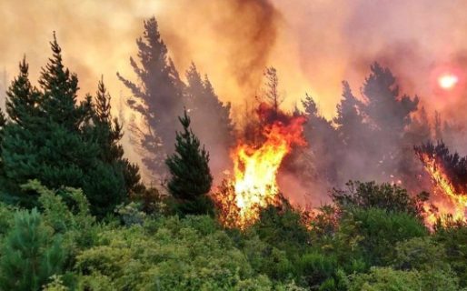 Conformaron el Comité de Emergencia para coordinar las tareas de lucha contra el fuego