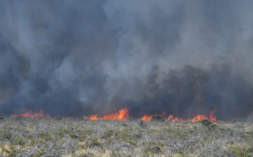 Cortaron Ruta 3 a la altura de Pirámides y en Arroyo Verde