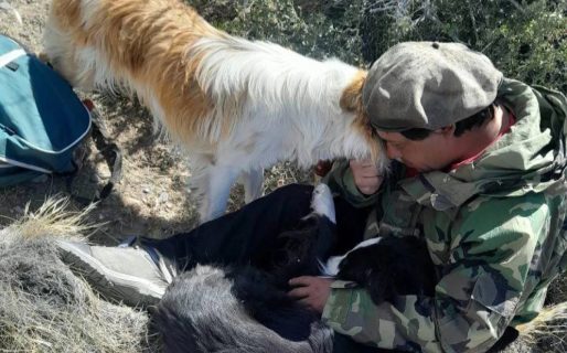 Desapareció un trabajador rural: buscan a Hernán Villarroel en la Ruta 40