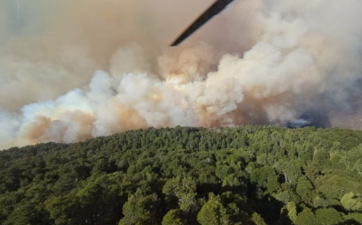 Temporada de incendios: las recomendaciones y cuidados para preservar las áreas protegidas del país