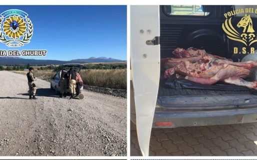 Lo pararon en un control y descubrieron que llevaba un novillo faenado