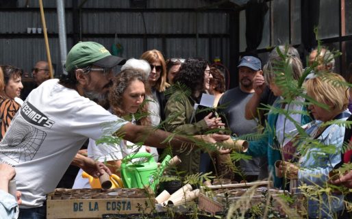 Impulsan talleres de siembra para niños y adultos mayores