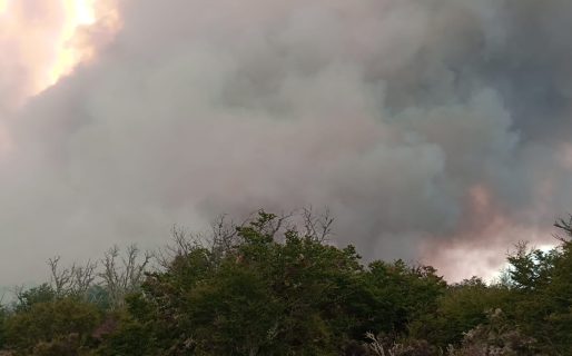El fuego continúa sin control en la zona de Atilio Viglione
