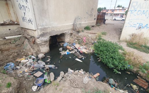 Vecinos del Sector 7 de las 1.008 reclaman soluciones ante plagas y problemas cloacales: «Es un barrio abandonado»