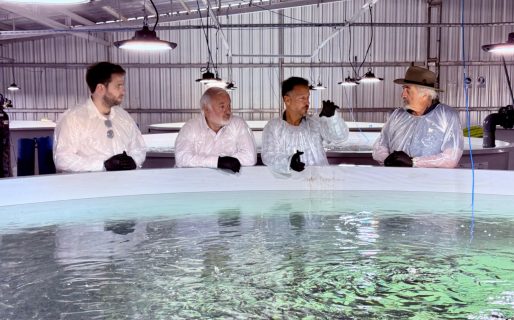 Buscan potenciar la transferencia de Conocimiento con Neuquén y atraer posibles inversiones