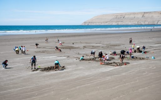Fin de semana cultural en Rada Tilly: actividades para todas las edades con entrada libre y gratuita