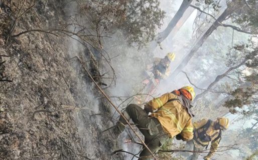 Ruta cortada, más de 25 familias evacuadas y peligra una planta de gas: cómo sigue el incendio en El Bolsón