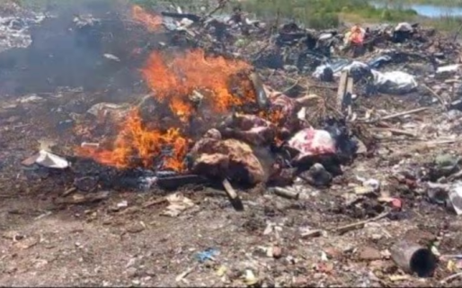 Fueron a demoler un búnker de drogas y hallaron un centro de faena clandestina de vacas