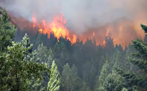 El fuego continúa activo en Epuyén: “Tenemos entre 60 y 70 personas evacuadas»