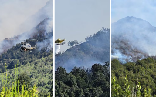 Incendio en el Parque Nahuel Huapi: el fuego arrasó cerca de 6.000 hectáreas