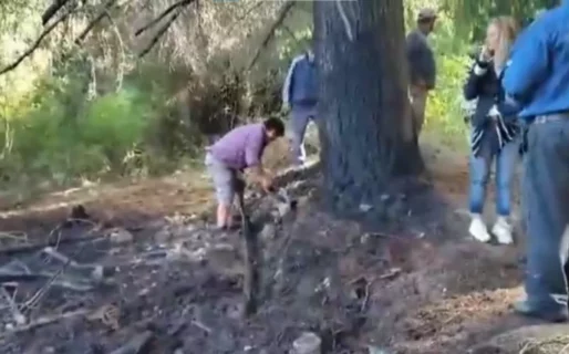 Ahora un nuevo incendio en la cordillera: ocurrió en Las Golondrinas