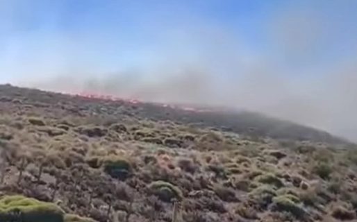 Incendio en Esquel: La investigación apunta a que el foco ígneo intencional sería por una disputa de tierras