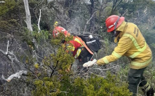 Con equipamiento y medios aéreos, trabajan para controlar los incendios en Epuyén y Atilio Viglione