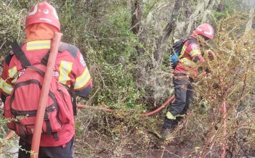Newbery organiza una colecta solidaria para apoyar a los Bomberos de la Cordillera