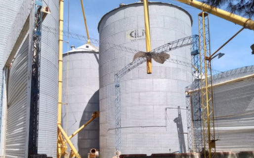 Un nene entró a jugar a un silo y murió atrapado cuando los empleados descargaban los granos