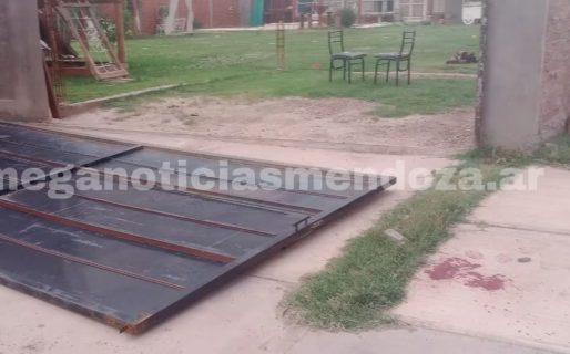 Una nena de diez años está en terapia intensiva después de que el portón de su casa se le cayera encima