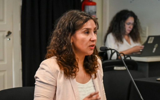 «Ñoquis calientes»: tres años de prisión en suspenso e inhabilitación perpetua para Torres Otarola