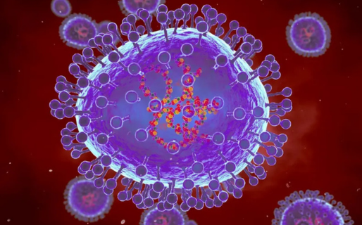 Alerta mundial por un brote de metapneumovirus humano proveniente de China