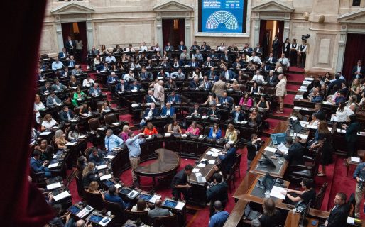 Diputados tratará hoy Ficha Limpia: el Gobierno se aseguró el quórum, pero se espera un intenso debate