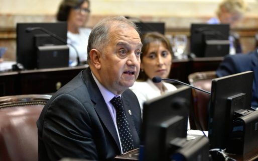 Linares: «Lo de Milei es un acto temerario y sin límites»