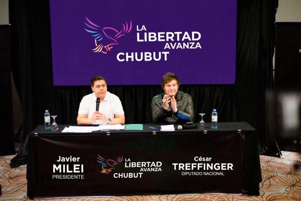 La Libertad Avanza logró dictamen para suspender las PASO | El Comodorense