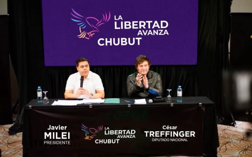 La Libertad Avanza logró dictamen para suspender las PASO