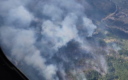 Continúan combatiendo los incendios forestales en la cordillera