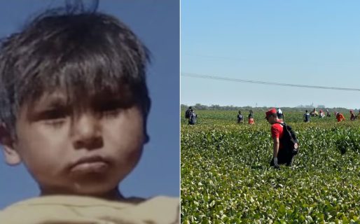 Desesperada búsqueda de Liam, un nene de 3 años que salió a jugar al patio de su casa y desapareció