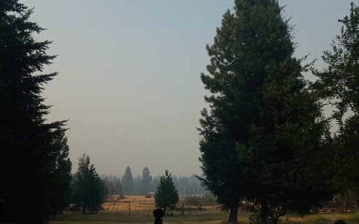 La zona de Mallín Ahogado enfrenta una emergencia por incendios: ciudadanos piden ayuda urgente