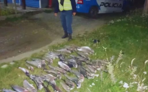 Los detuvieron con casi 50 truchas pescadas ilegalmente