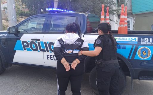 Detuvieron a una mujer vinculada al tráfico de estupefacientes en la Terminal de Comodoro